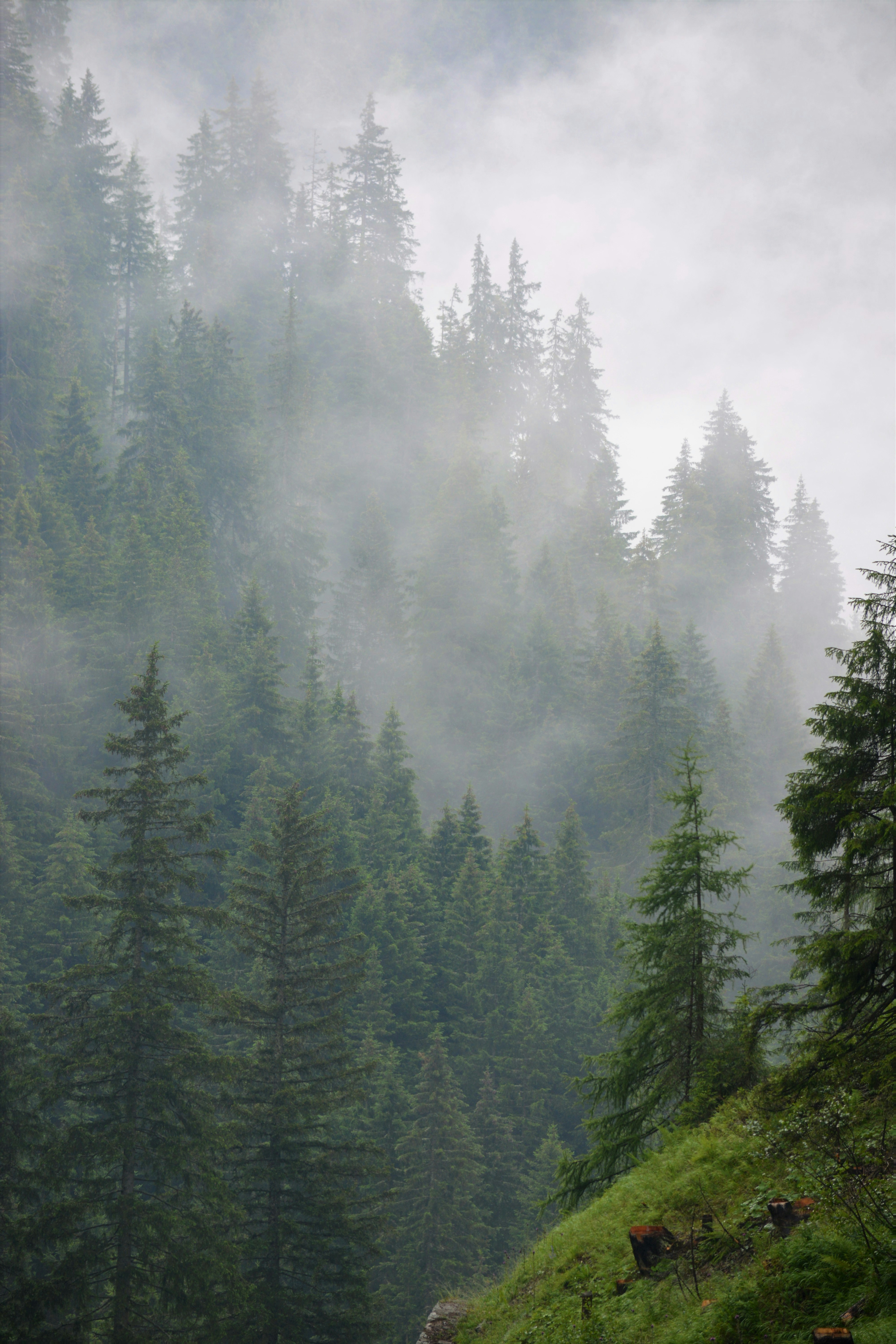 Photo by pedrino5_official