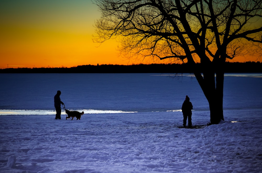 silhouette of 2 people standing on snow covered ground during sunset