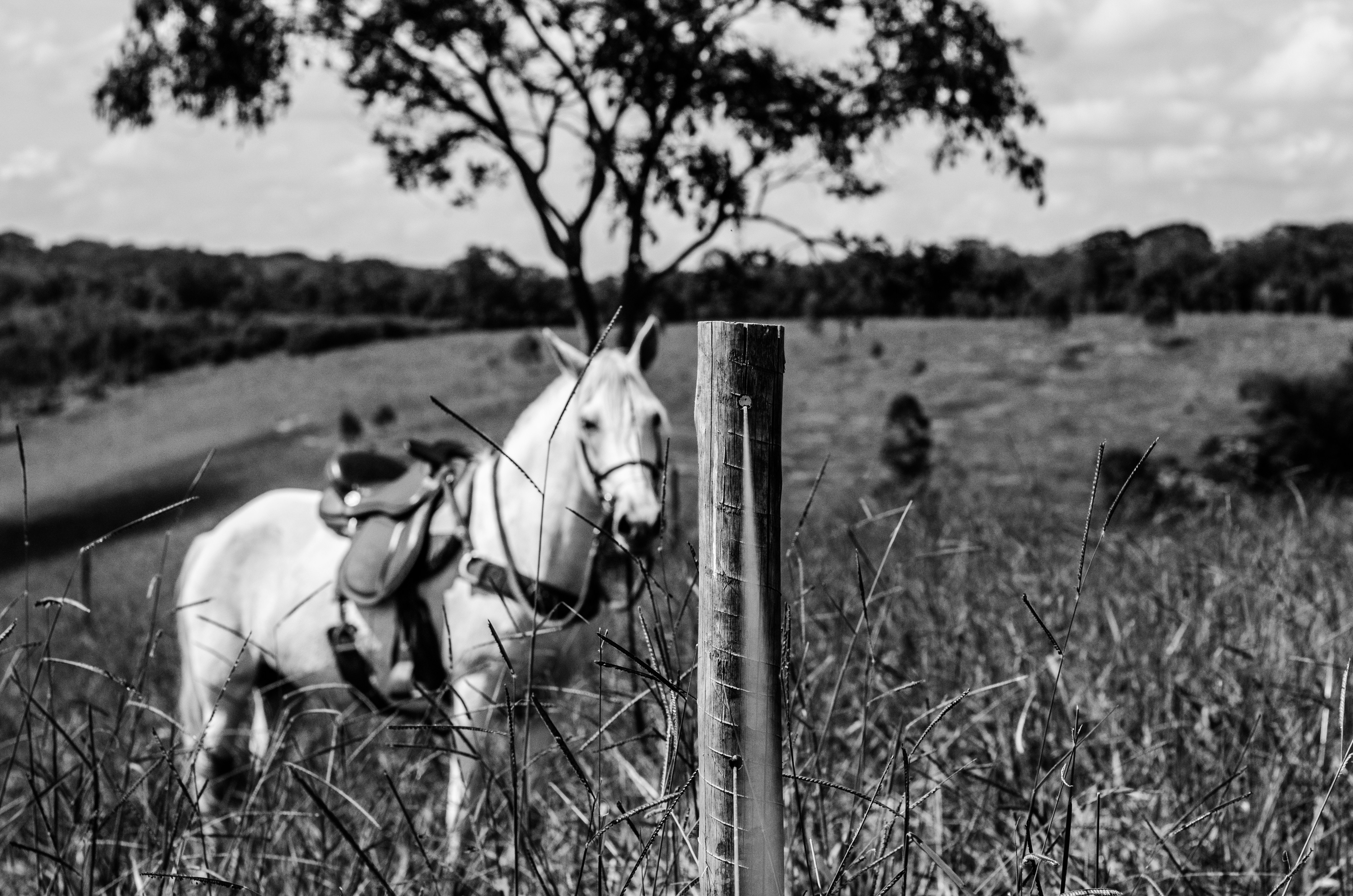 Photo by weigler