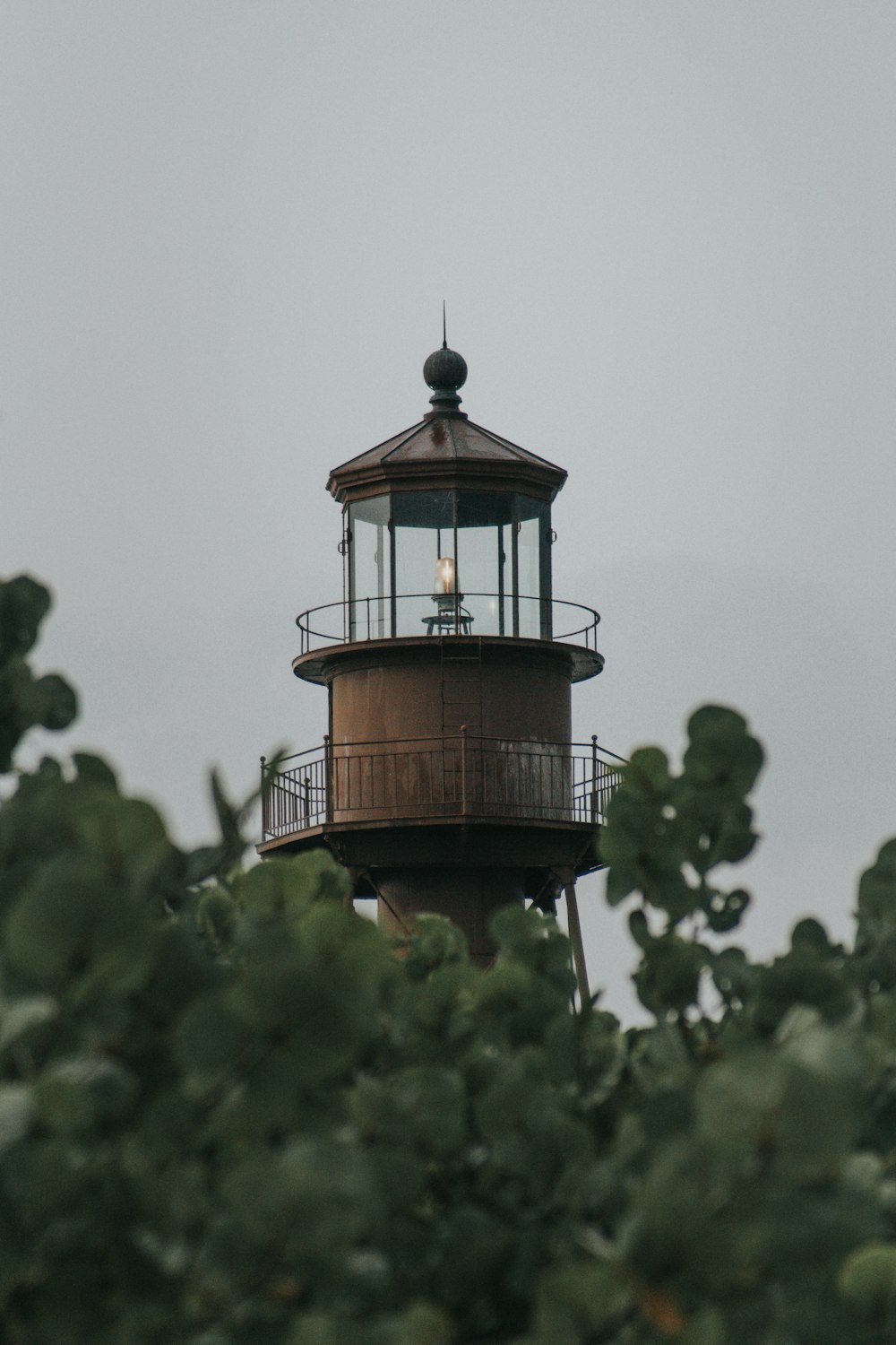 brown and white light post