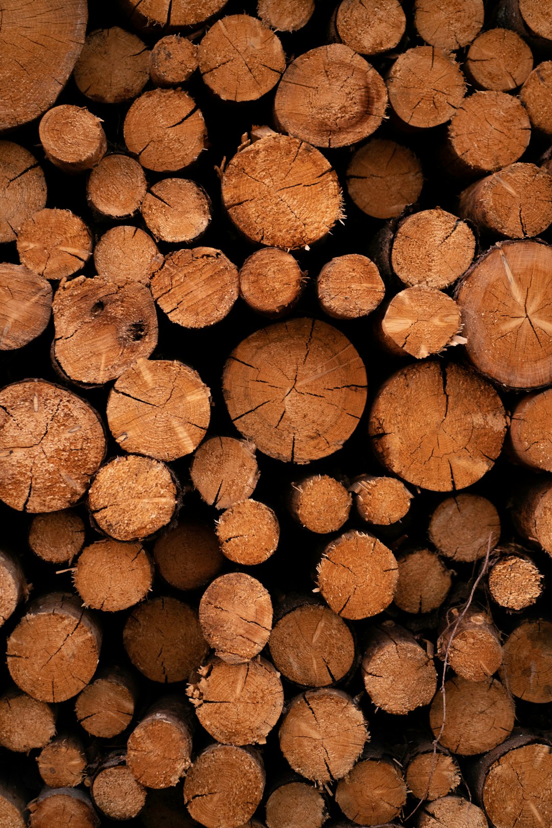 brown wood logs in close up photography