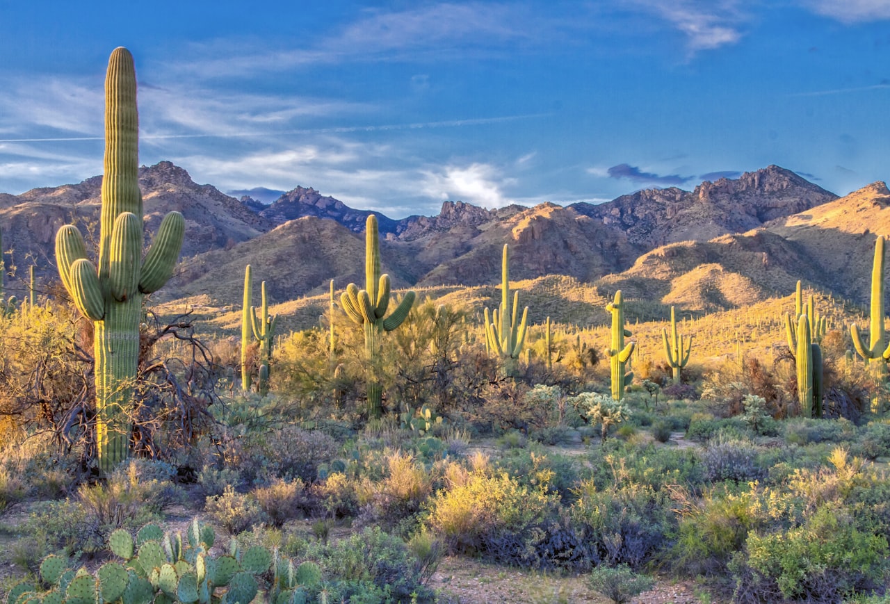 Catalina Foothills