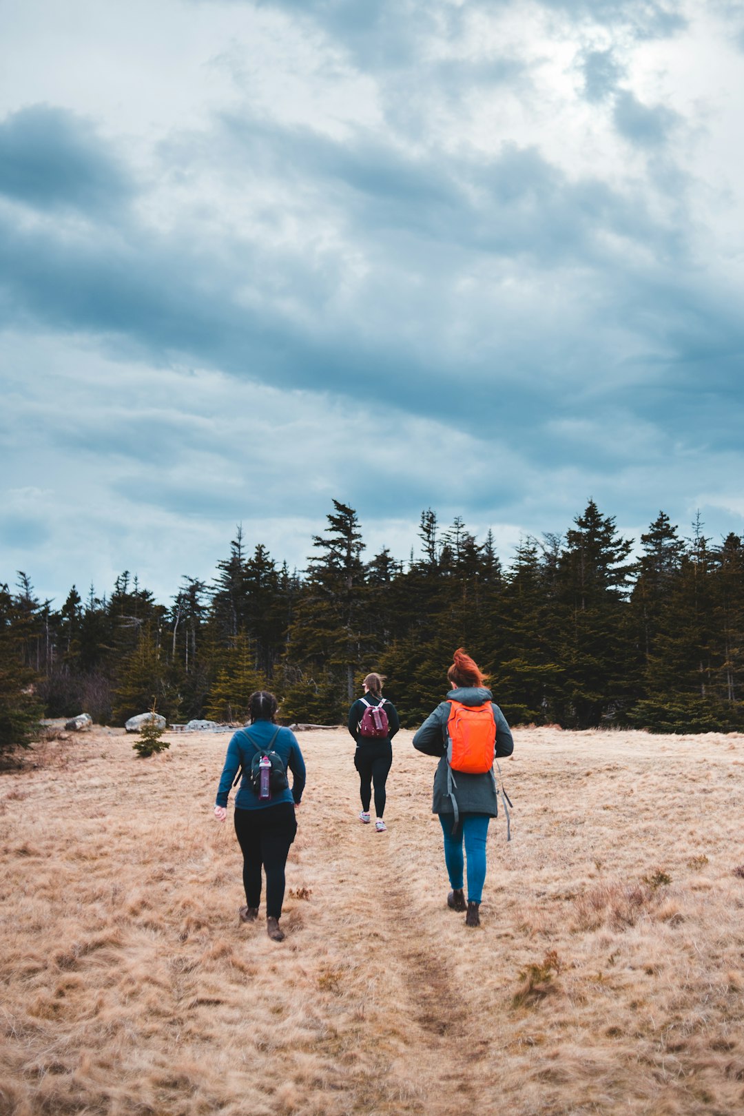 3 women standing on brown field surrounded by green trees under white clouds and blue sky