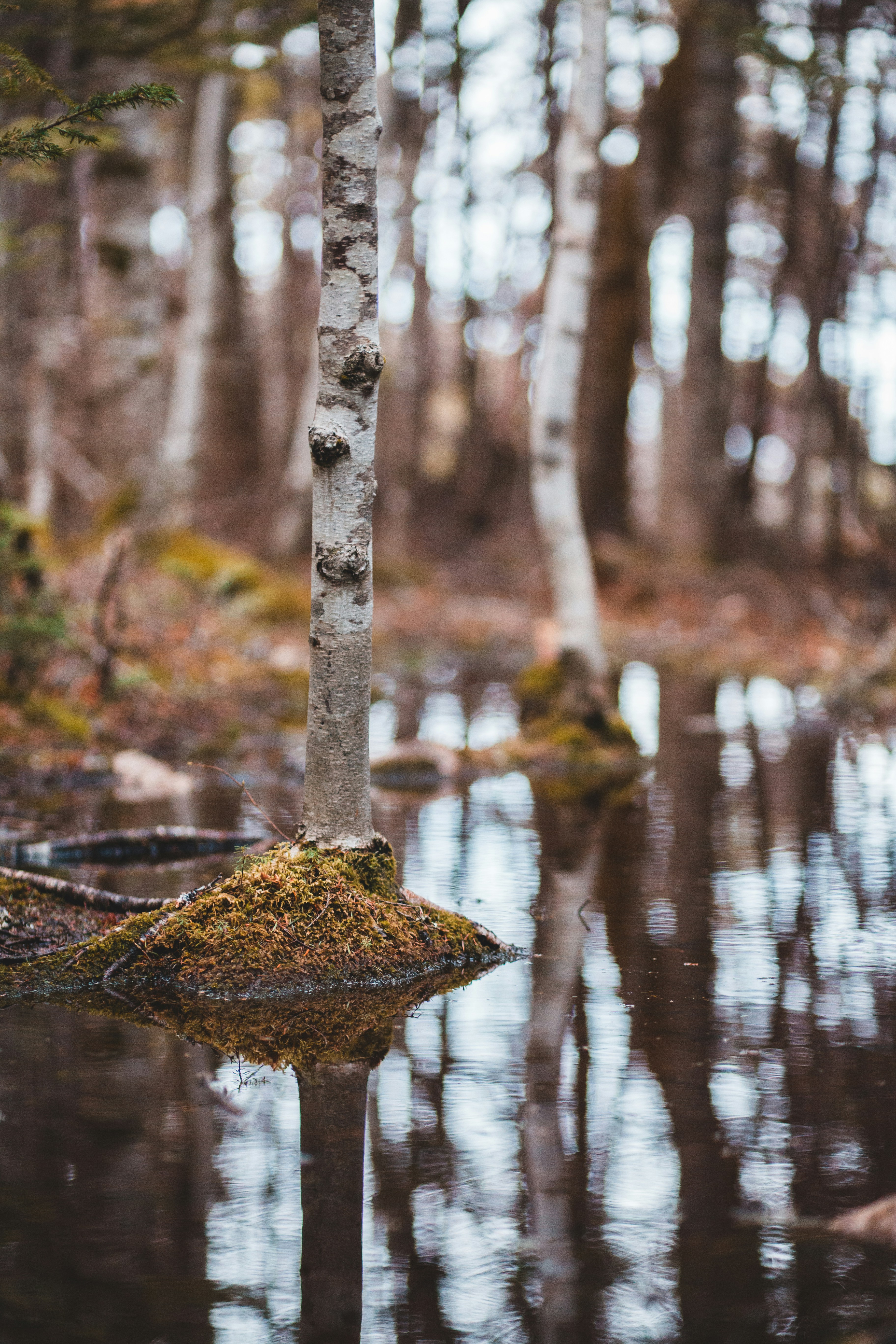 Photo by introspectivedsgn