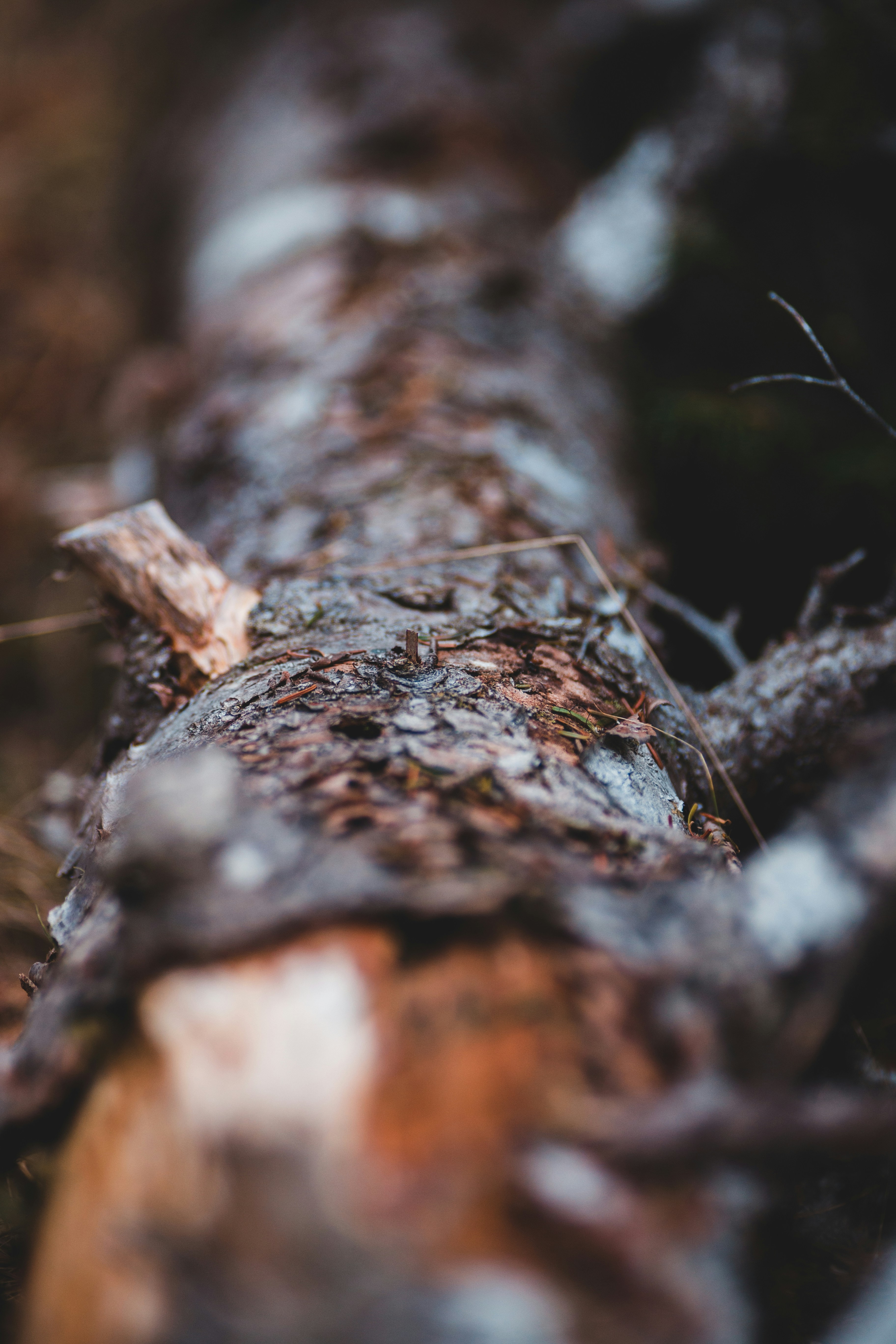 Photo by introspectivedsgn