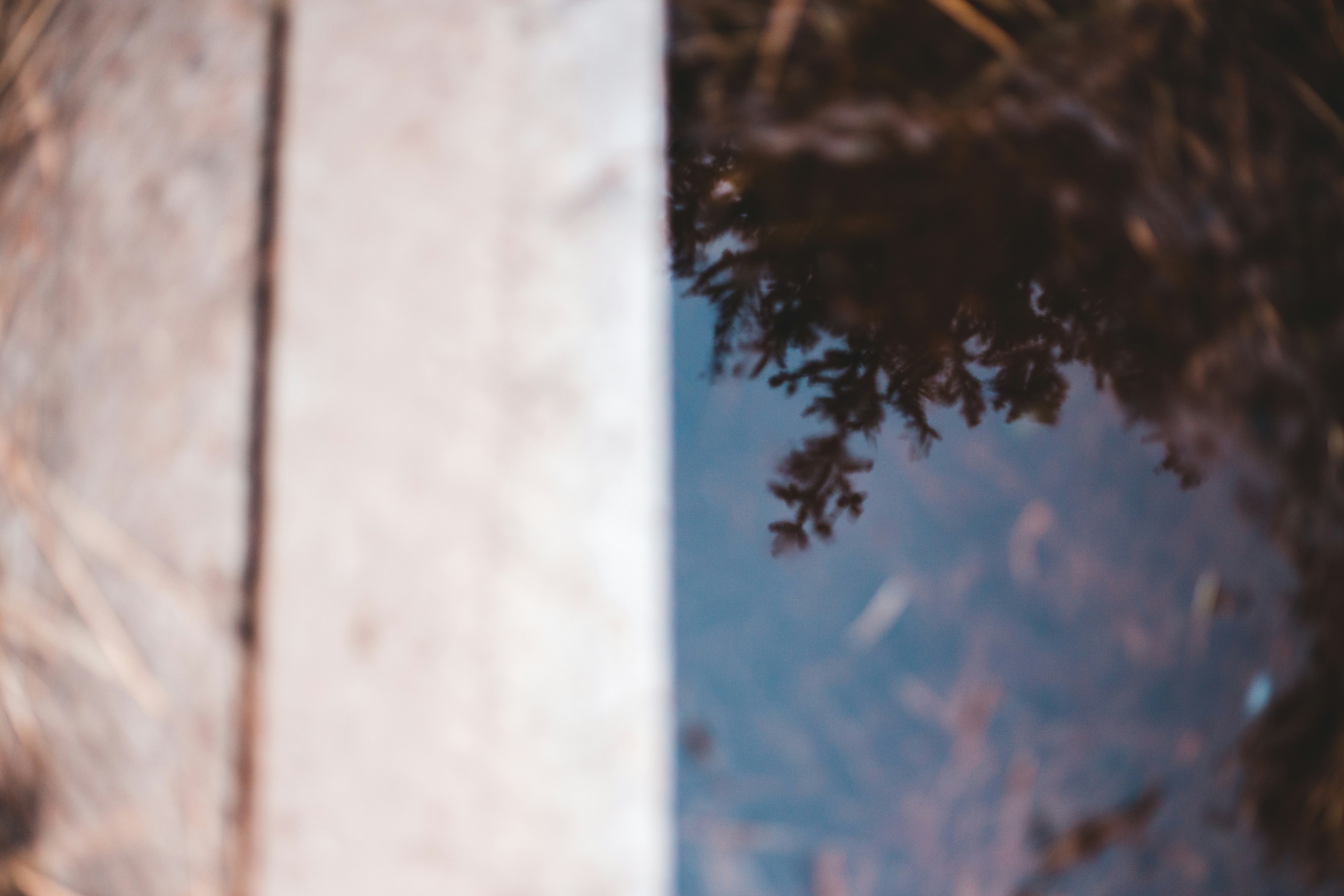 Photo by introspectivedsgn