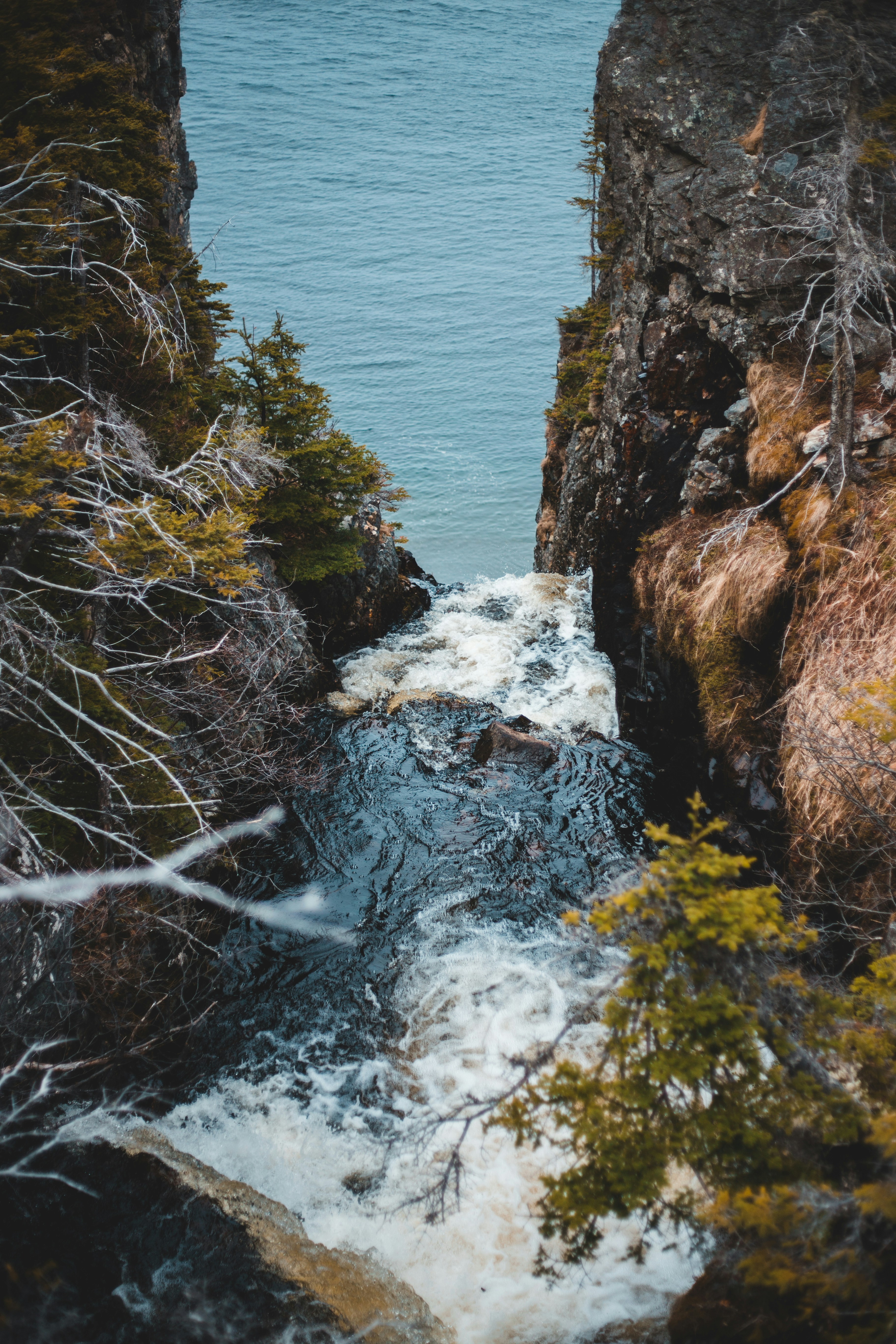 Photo by introspectivedsgn