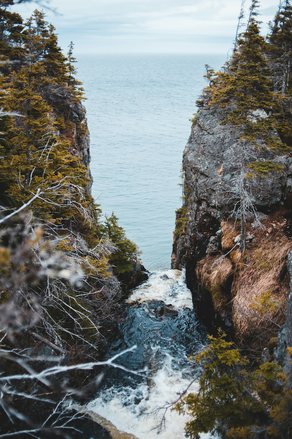 brown and green rock formation beside body of water during daytime