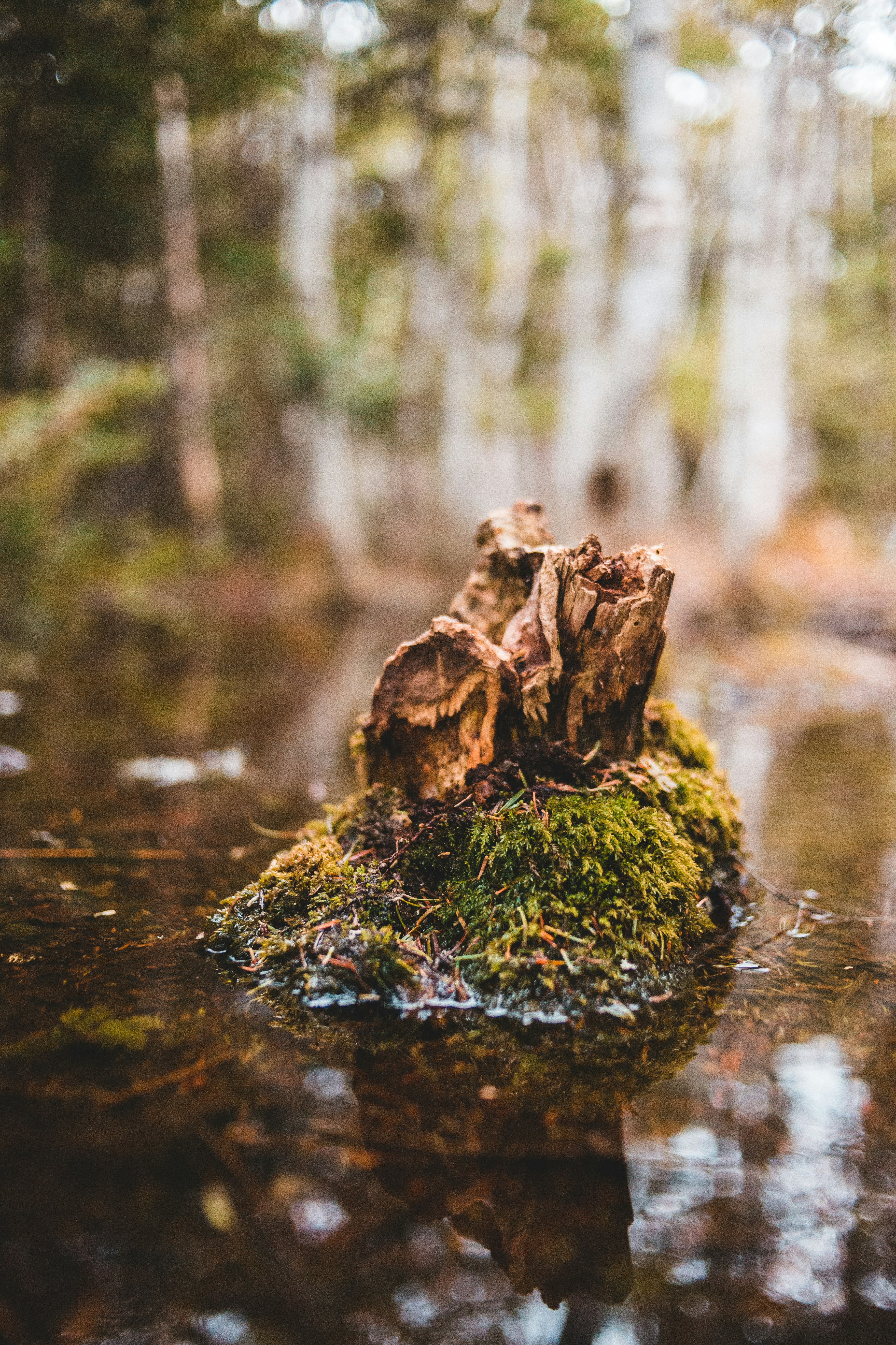 Photo by introspectivedsgn