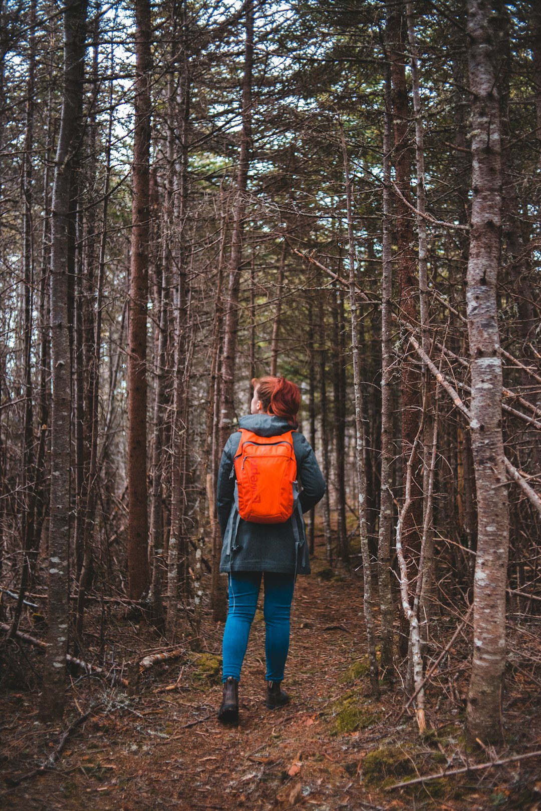 woman in red and black jacket standing in the woods