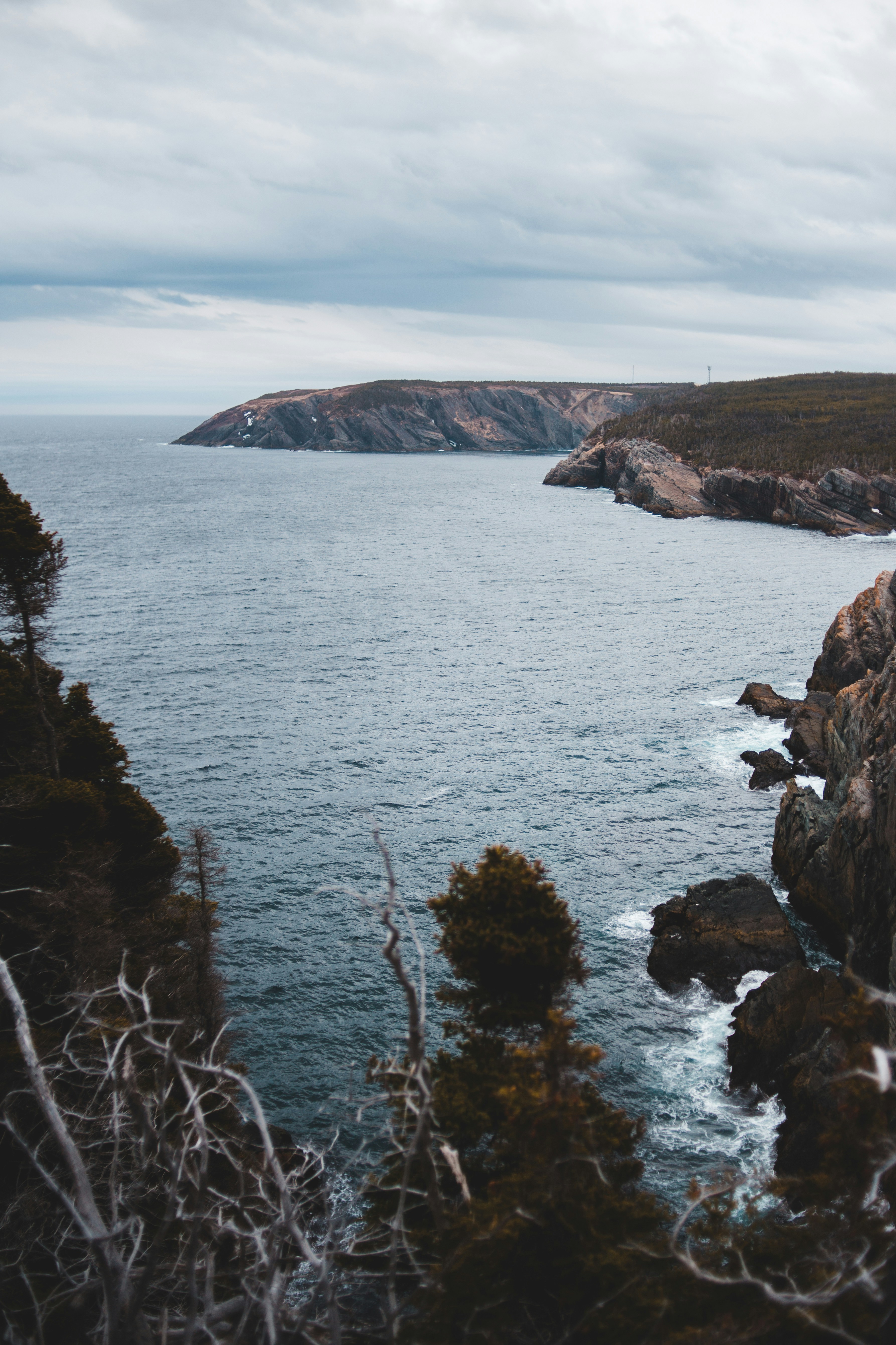 Photo by introspectivedsgn