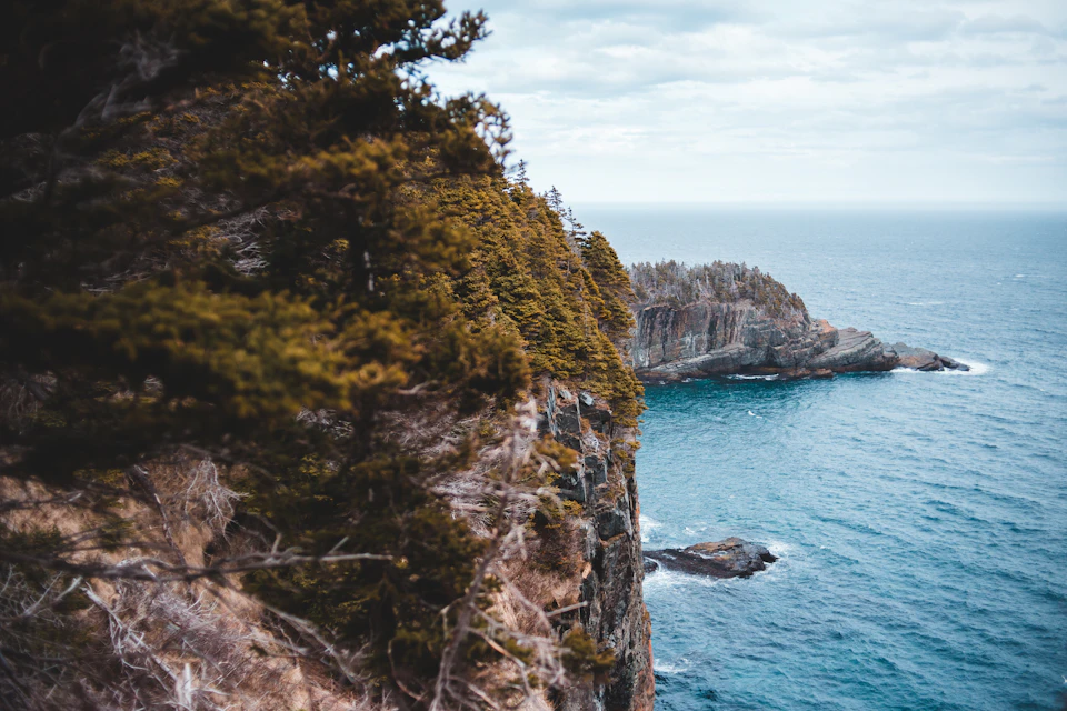 The image depicts a serene coastal scene with a rocky cliff face on the left side, covered in lush green trees and shrubs. The cliff is partially submerged under water, adding an element of mystery to the landscape. In the background, there are two small islands visible, one closer to the viewer and another further away. The sky above is overcast, casting a soft light over the scene and enhancing its natural beauty.