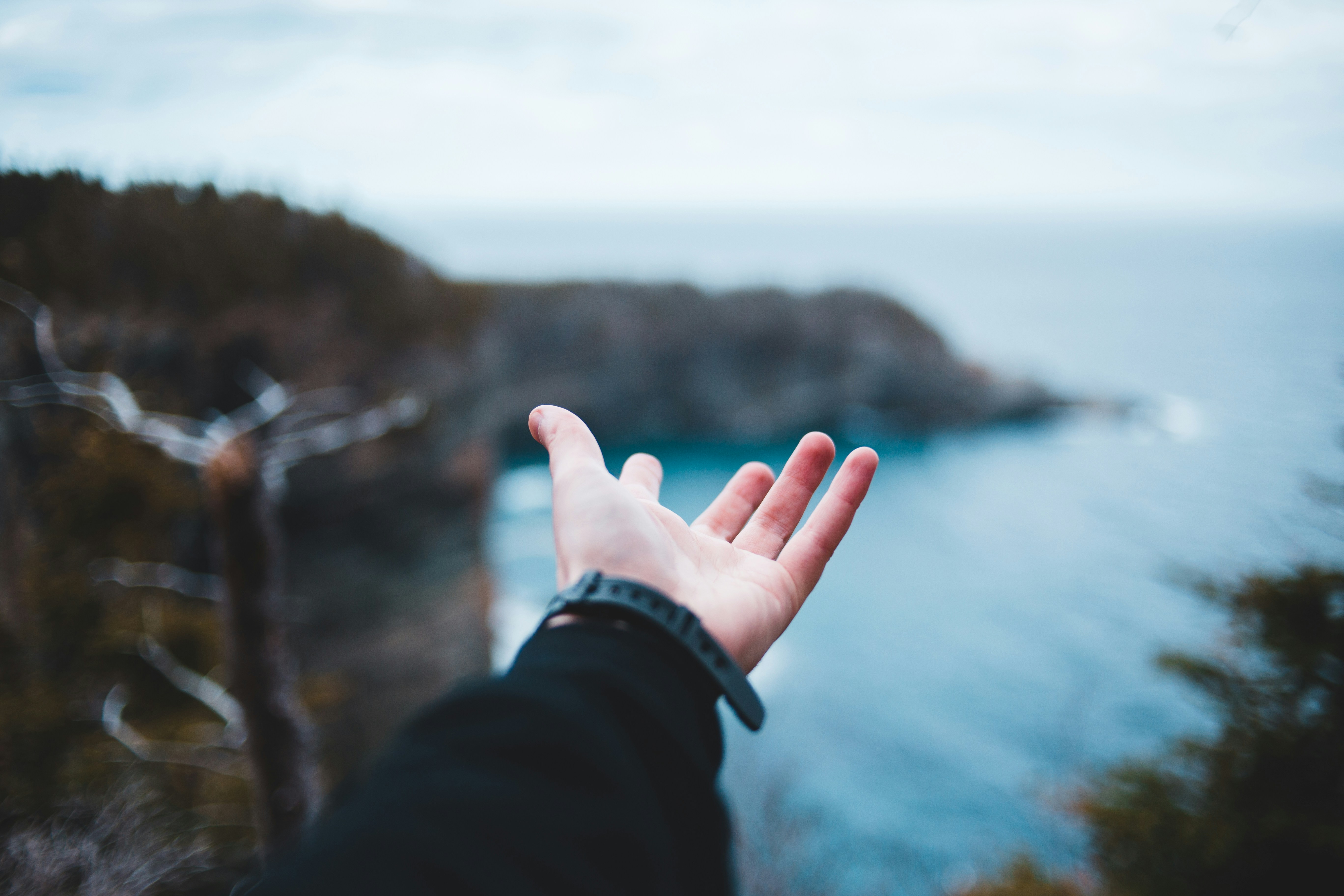 Photo by introspectivedsgn