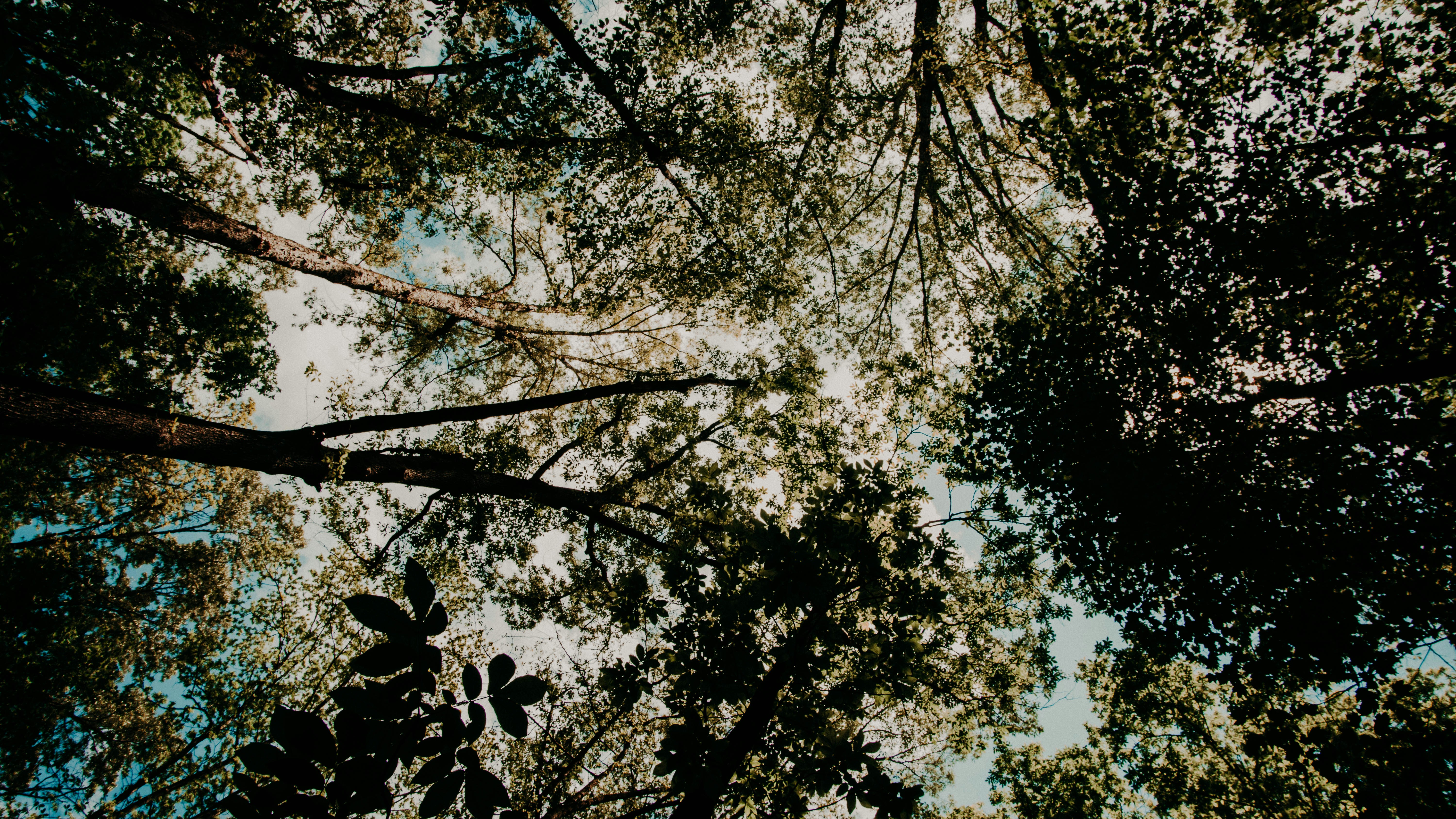 Photo by Sean Thomas on Unsplash