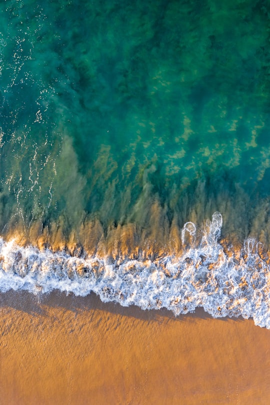 aerial view of sea waves in Elouera Beach Australia