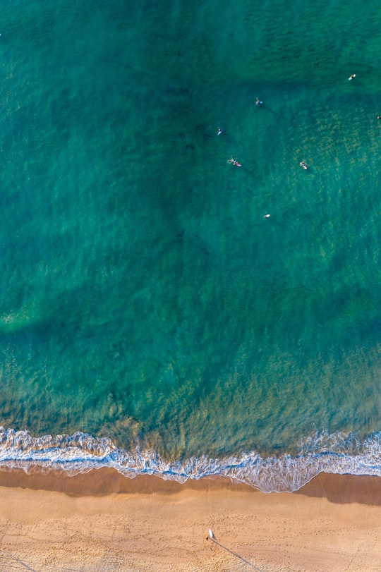 green and white abstract painting in Elouera Beach Australia