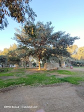 Wide shot of a public park featuring benches and metal trash bins under natural sunlight.