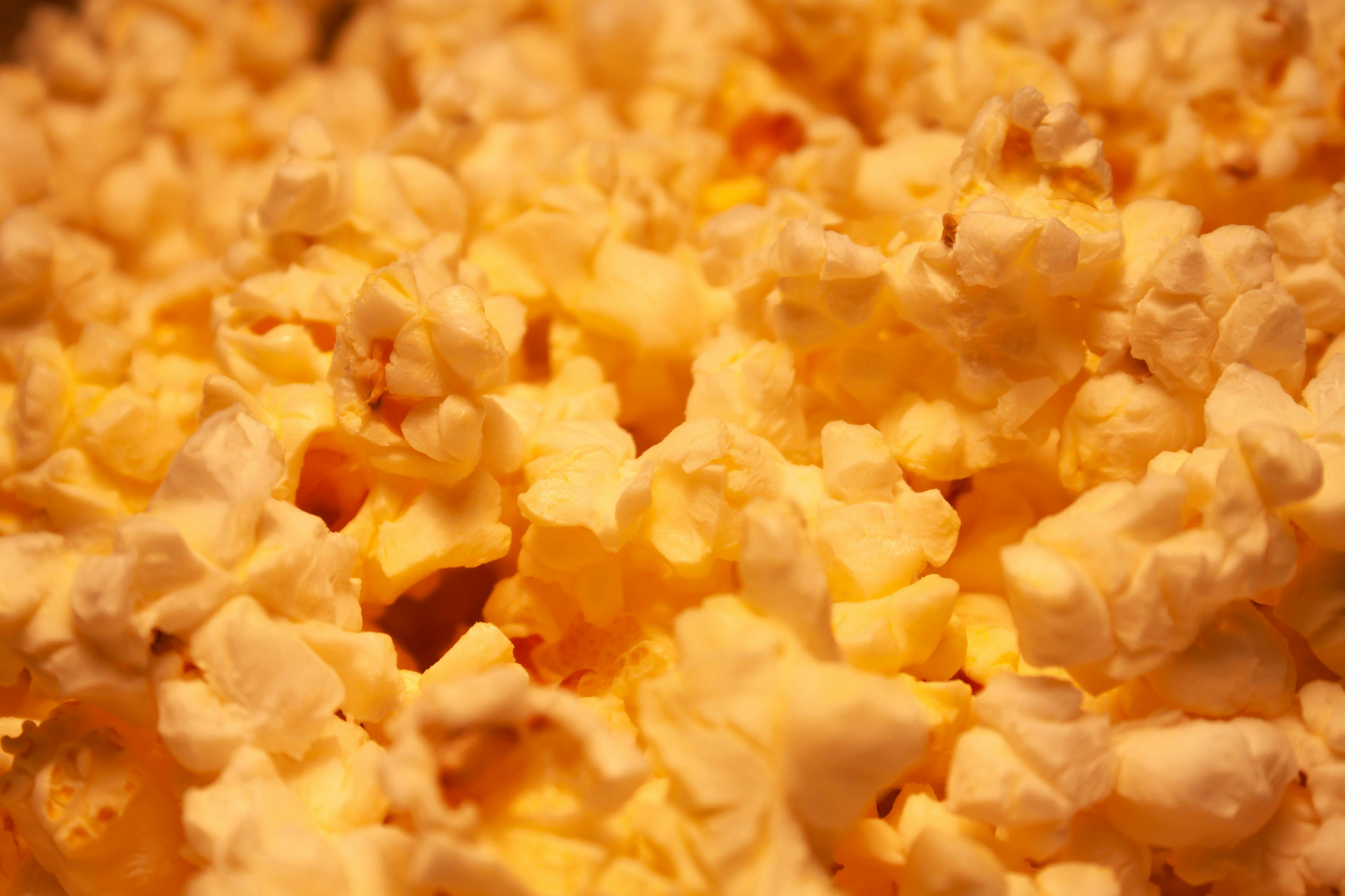popcorn kernels up close