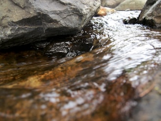 A tranquil water feature with smooth stones and gentle flowing water, inviting relaxation.