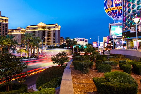 white and brown concrete building near green trees during night time in Bellagio Hotel and Casino United States