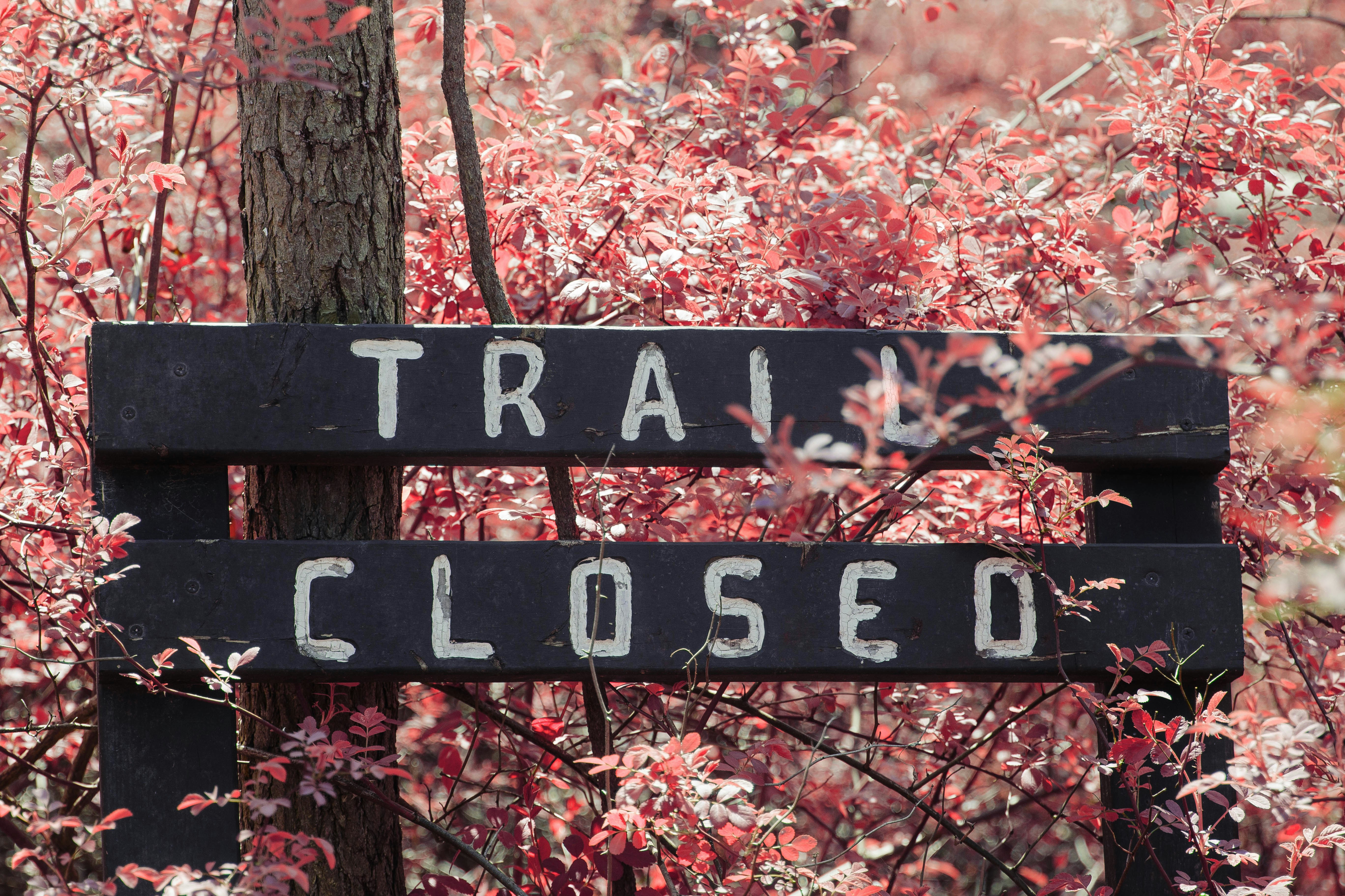 black and white wooden signage (Photo by Connor Gan on Unsplash)