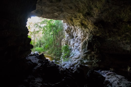 brown rock formation near green trees during daytime in Mountain Pine Ridge Forest Reserve Belize