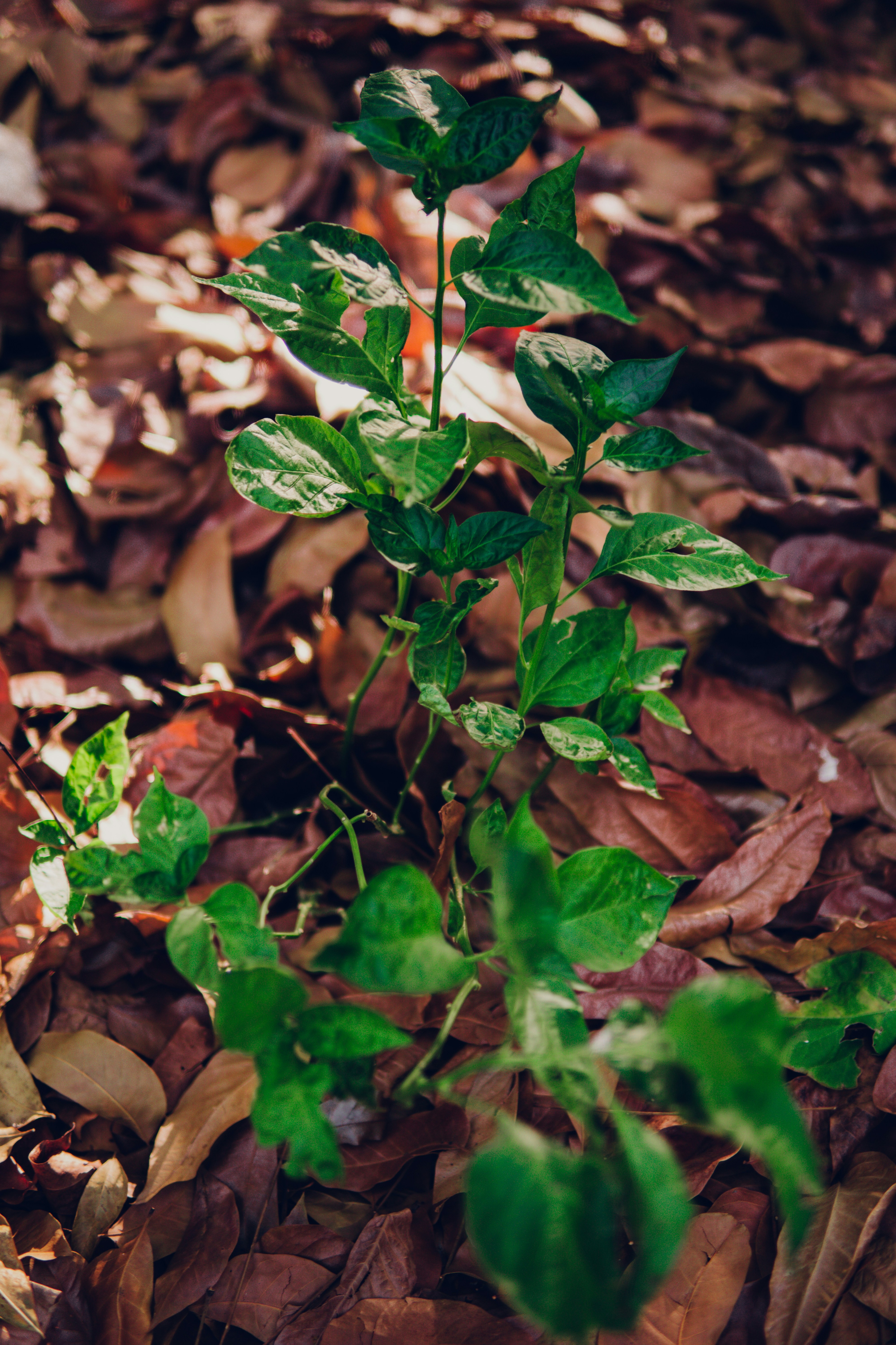 Photo by tabudlodd06