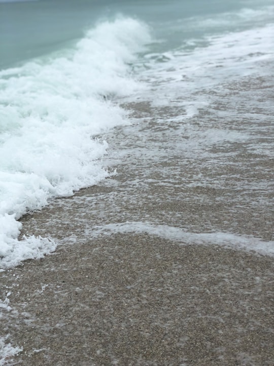 photo of Anna Maria Beach near Weedon Island Preserve