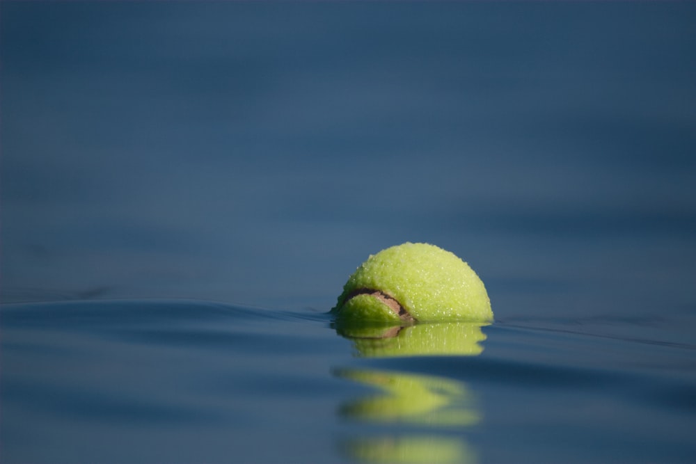 Grüner Tennisball auf blauem Wasser