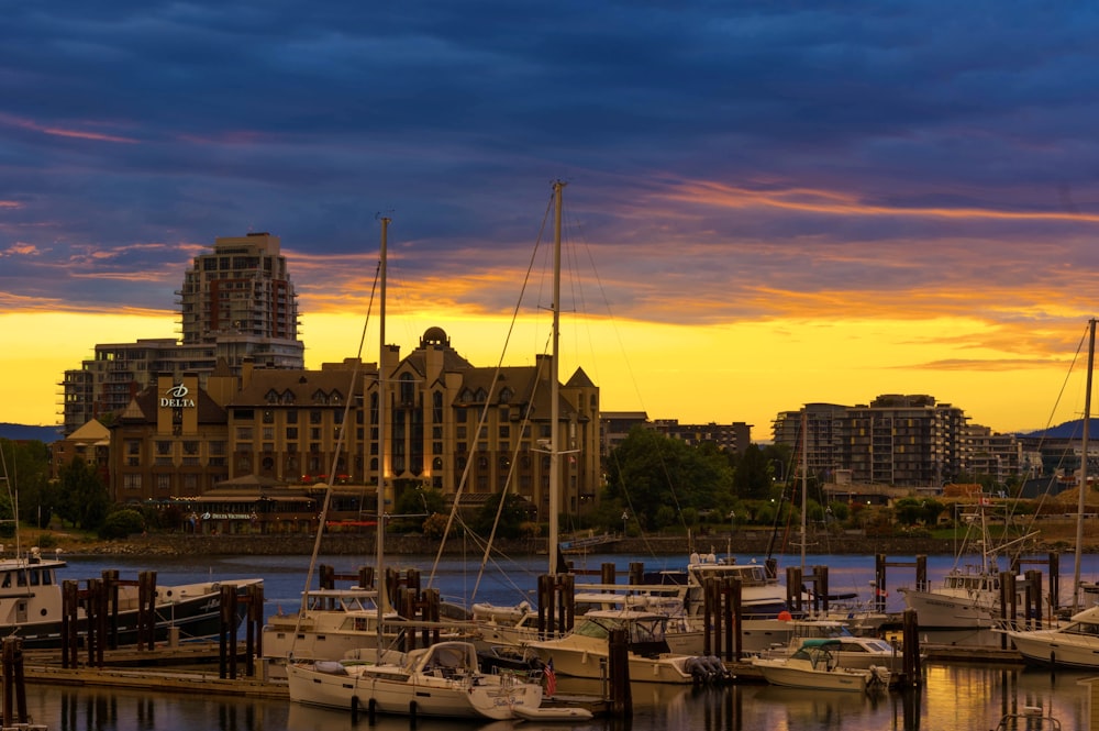 white boat on dock during sunset