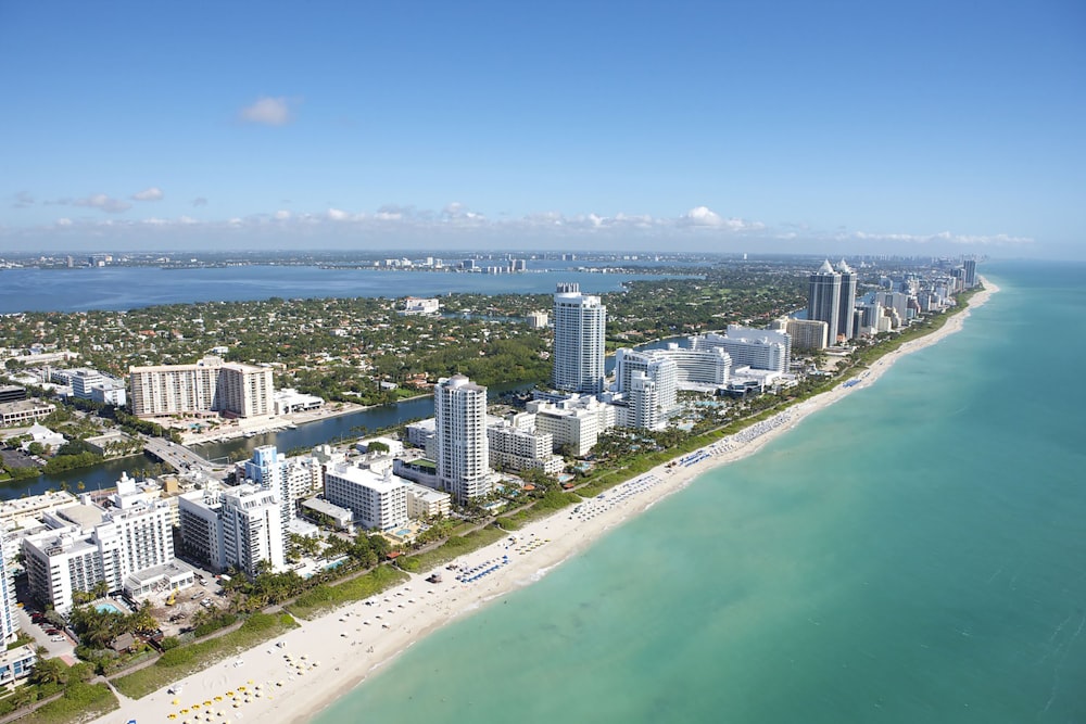 aerial view of city buildings near body of water during daytime