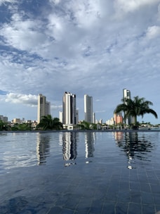green palm trees near body of water during daytime