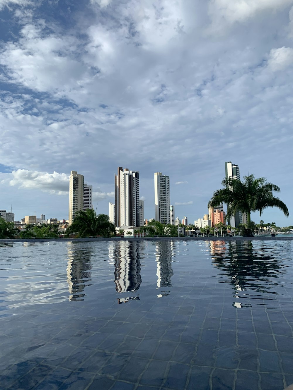 green palm trees near body of water during daytime