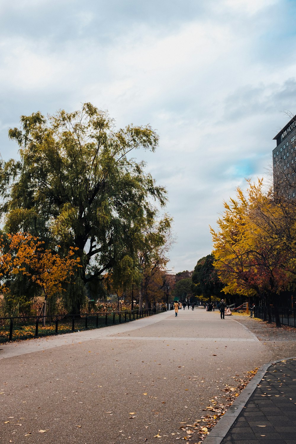 people walking on sidewalk near trees during daytime