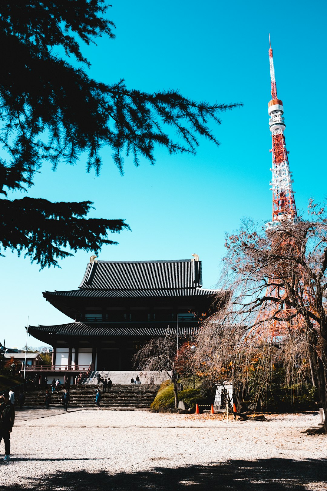 Pagoda photo spot Tokyo Tower Tokyo