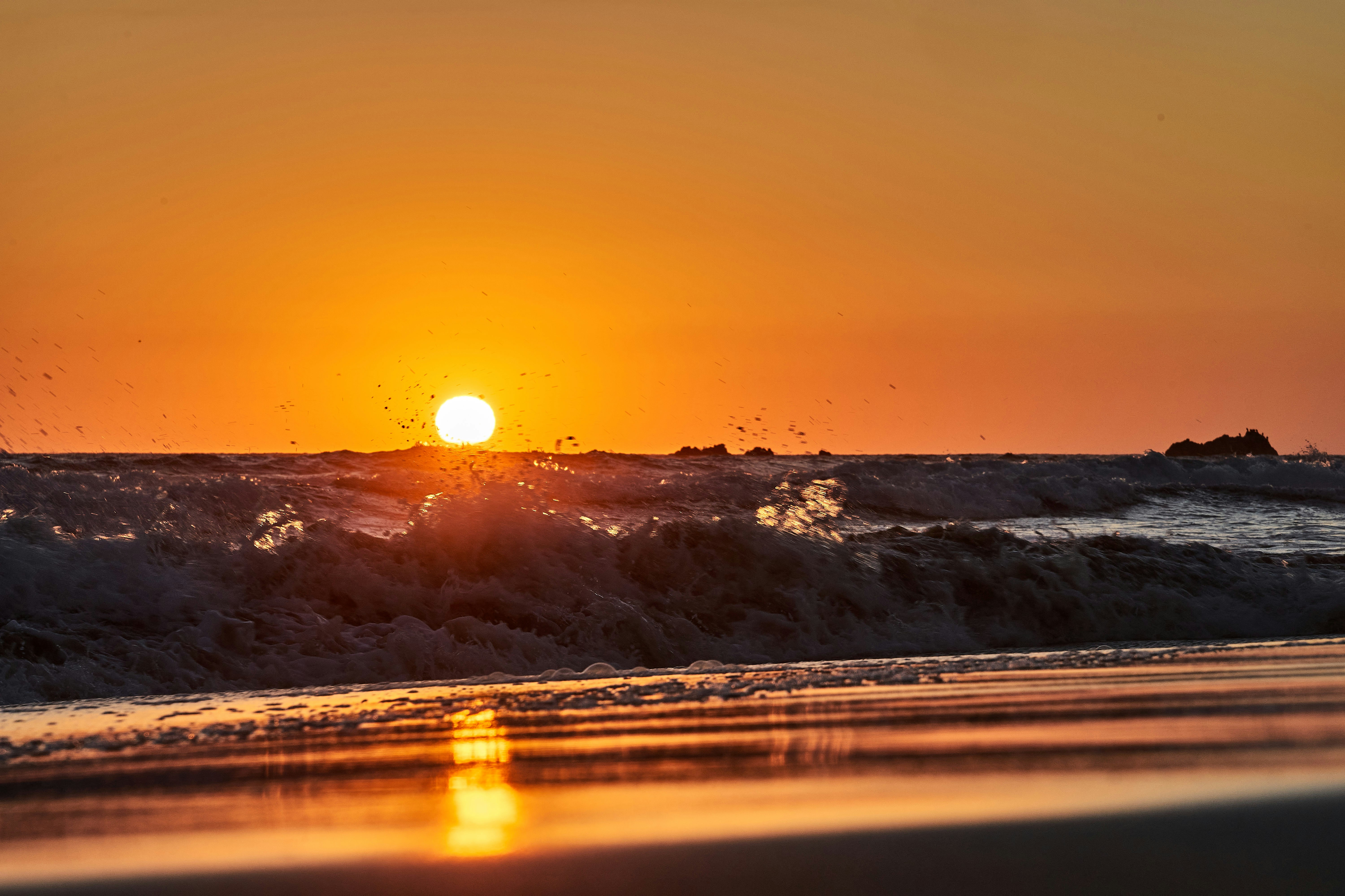 Photo by wolfgang_hasselmann