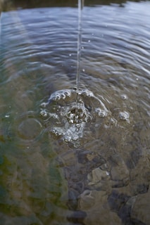 water drop on body of water