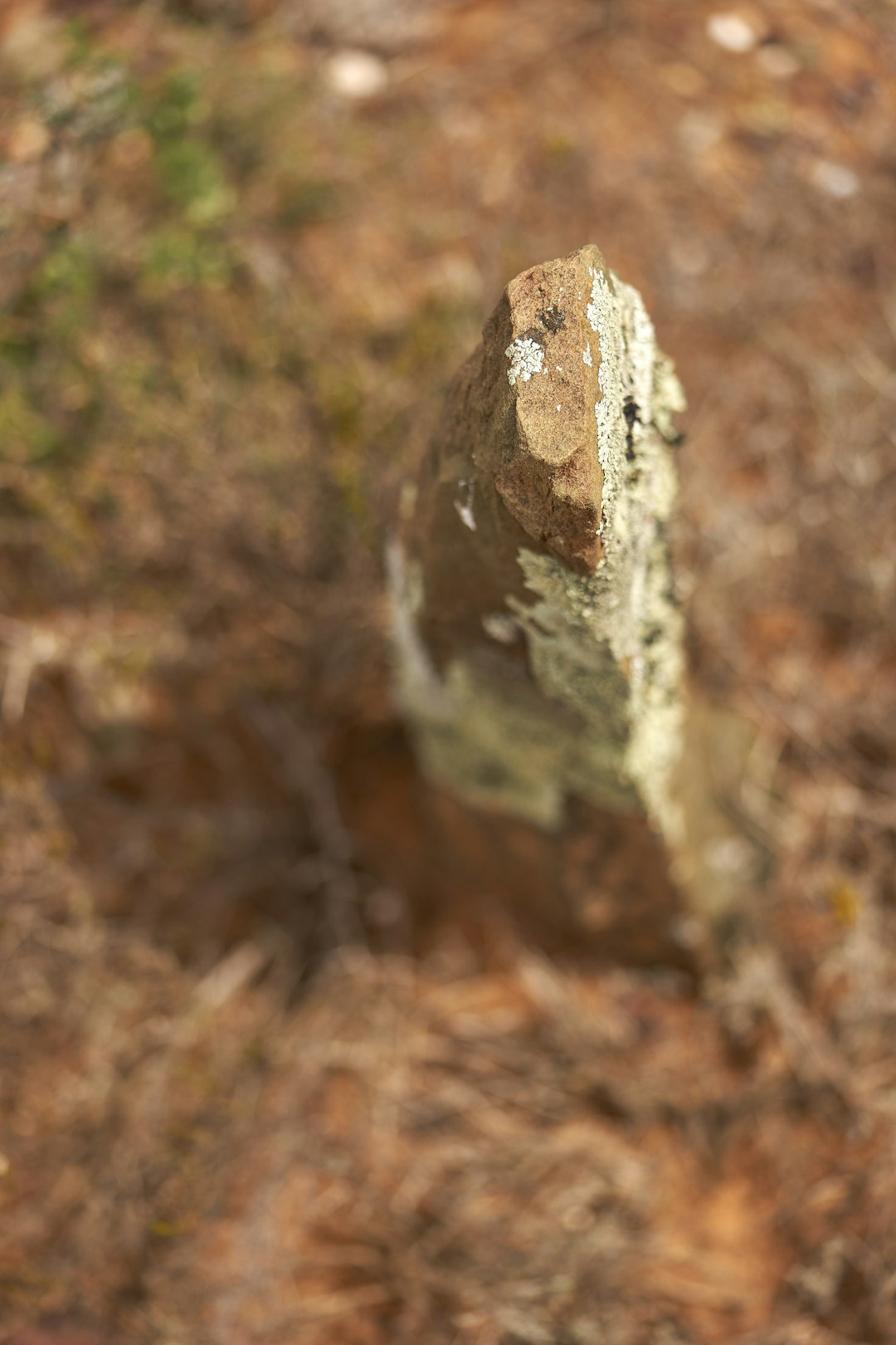 brown and white stone fragment