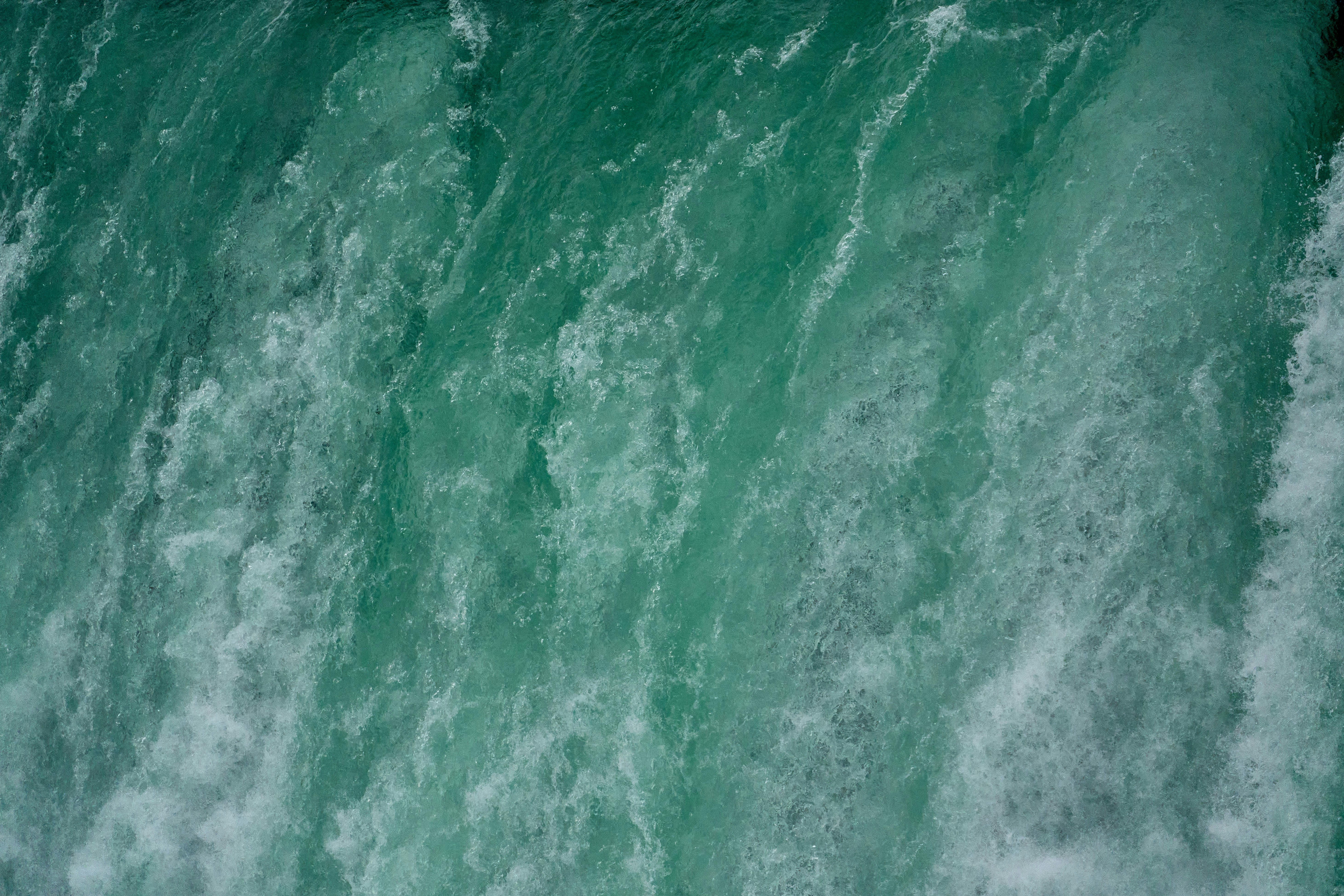 Photo by wolfgang_hasselmann