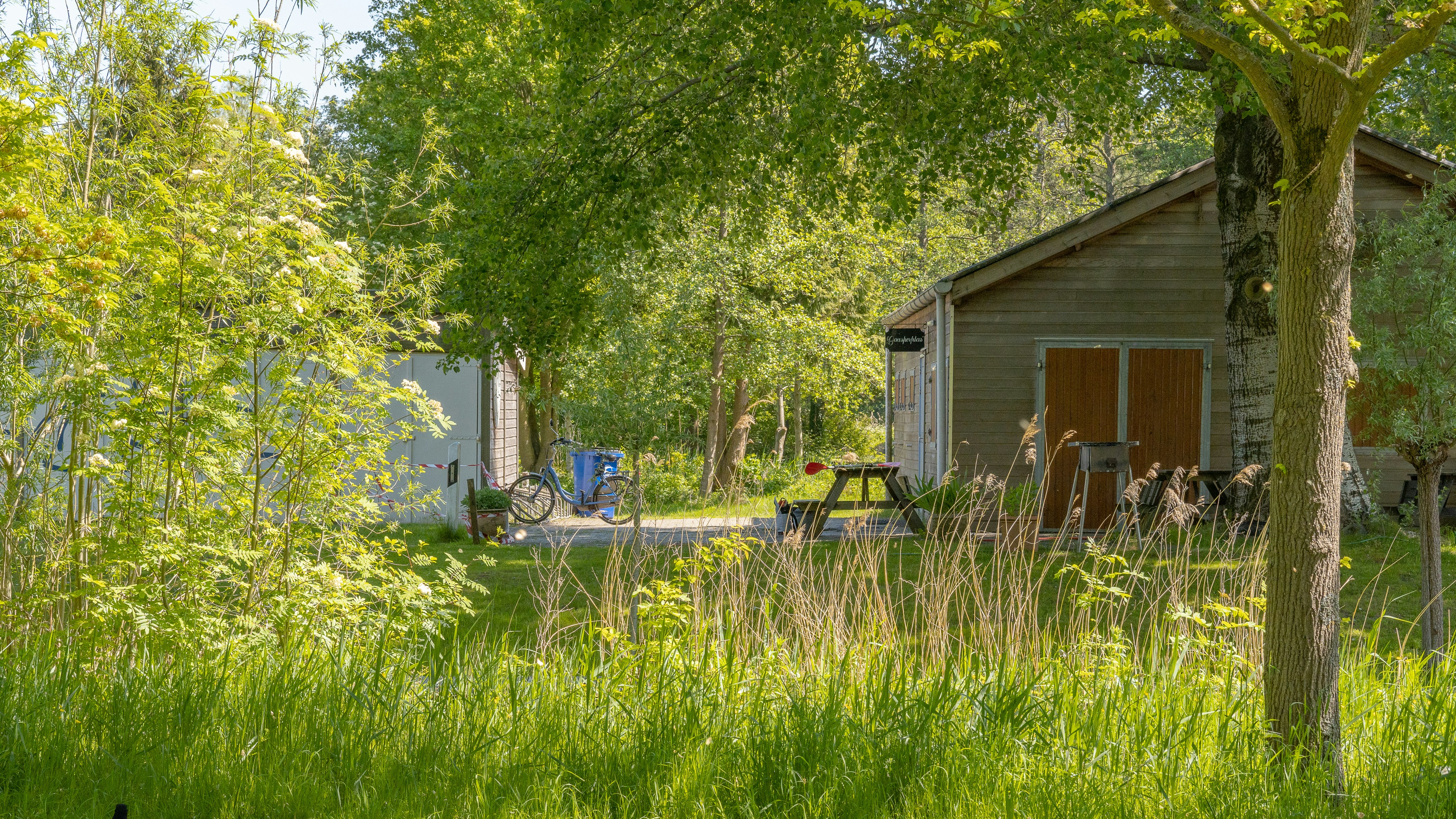 Photo by seifeddine_dridi