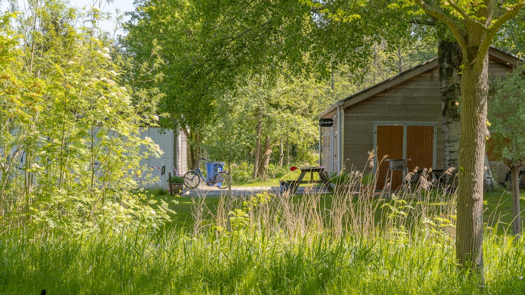 Cottage photo spot Gaasperplas Zuiderzeemuseum