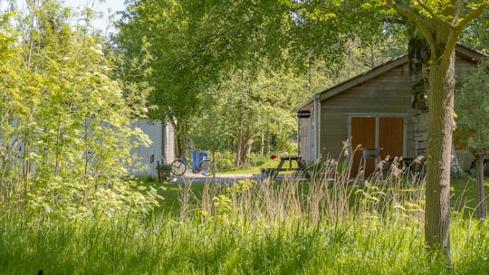 green grass field with green trees and white wooden house in Gaasperplas Netherlands