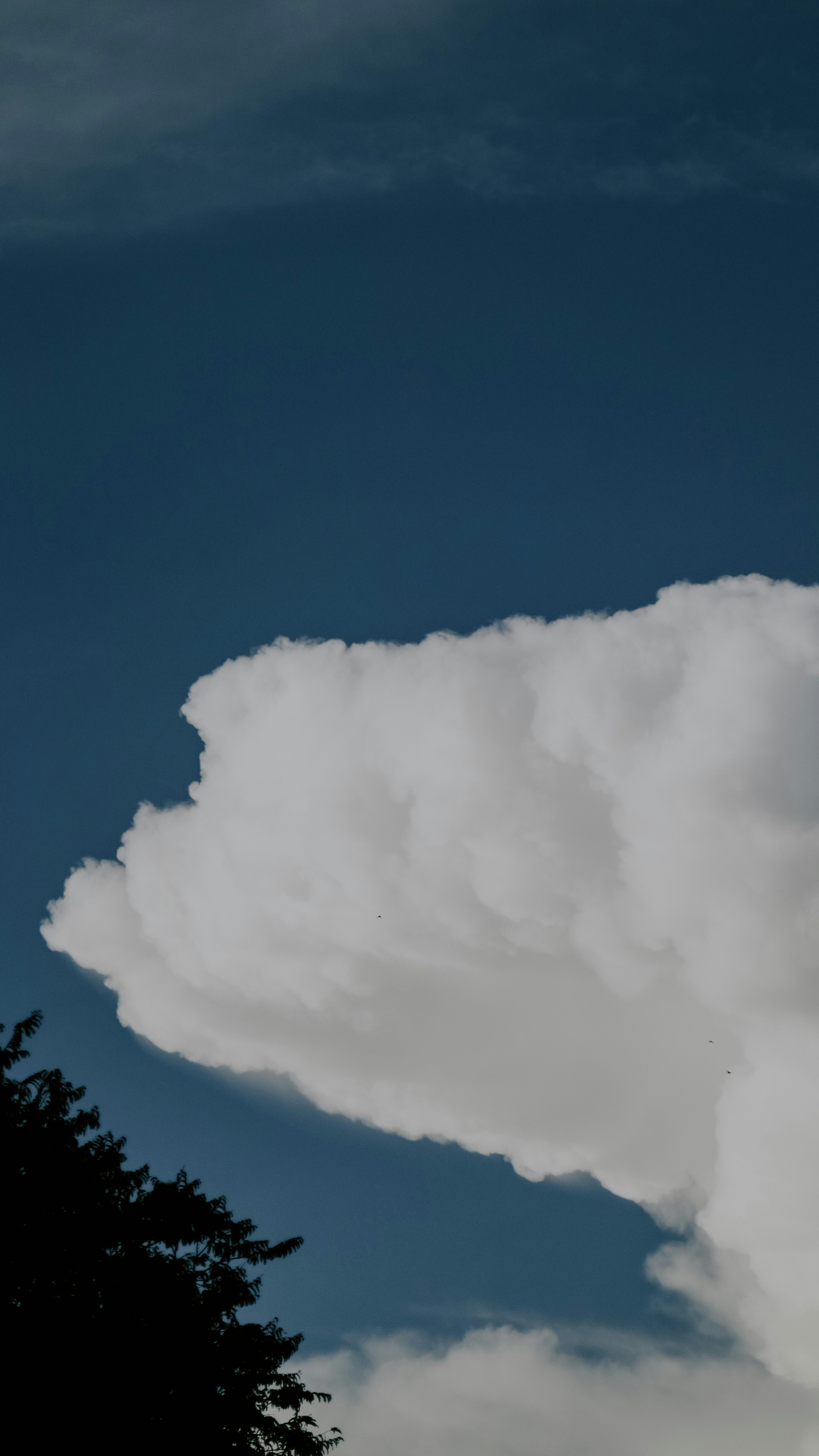 Photo by sadajiwa____