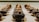 Rows of glossy, chocolate-coated pastries are neatly arranged on a reflective surface, each topped with a small garnish. The pastries are uniform in shape and are set in a well-lit display, highlighting their smooth and luxurious finish.