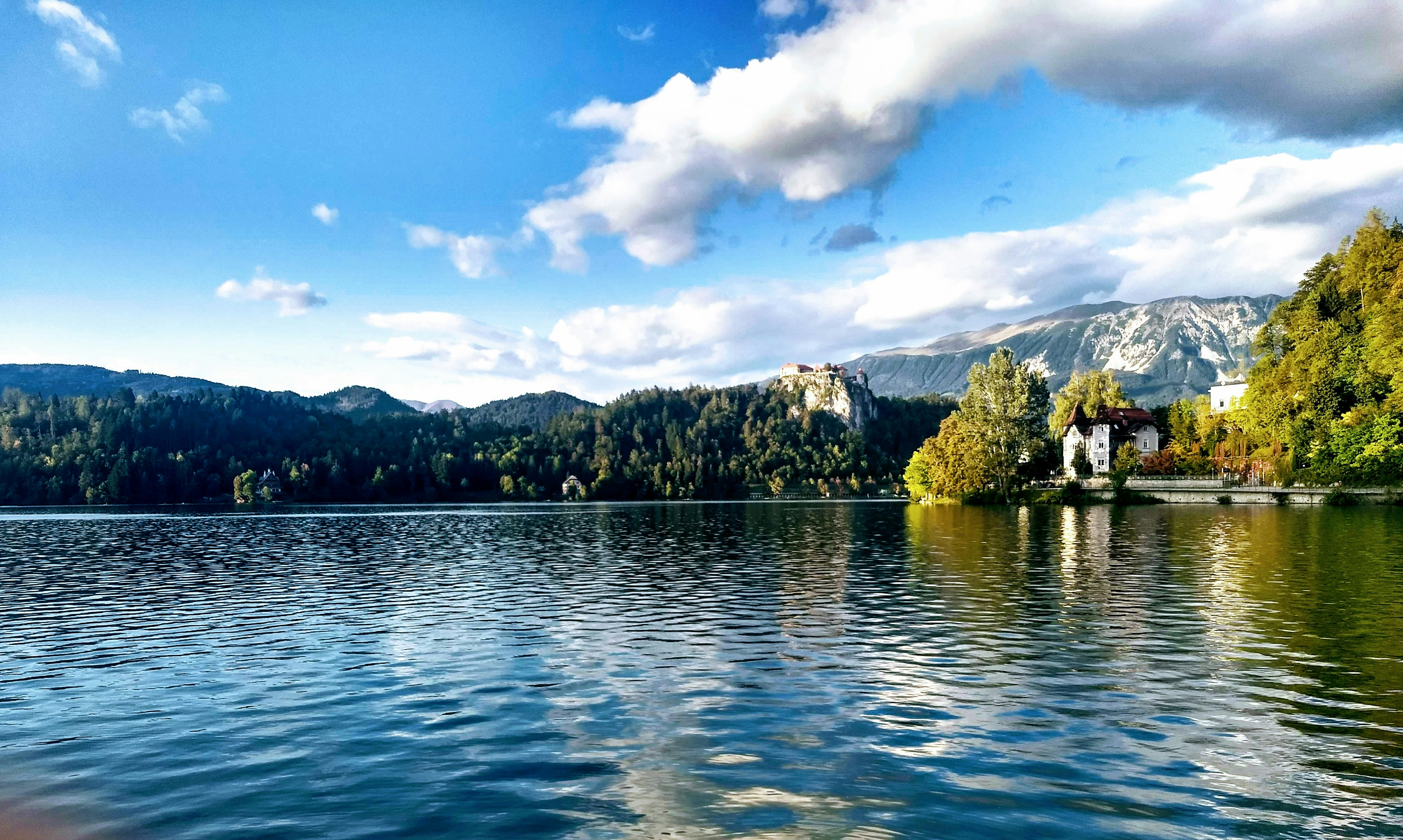 Photo by danielley1000