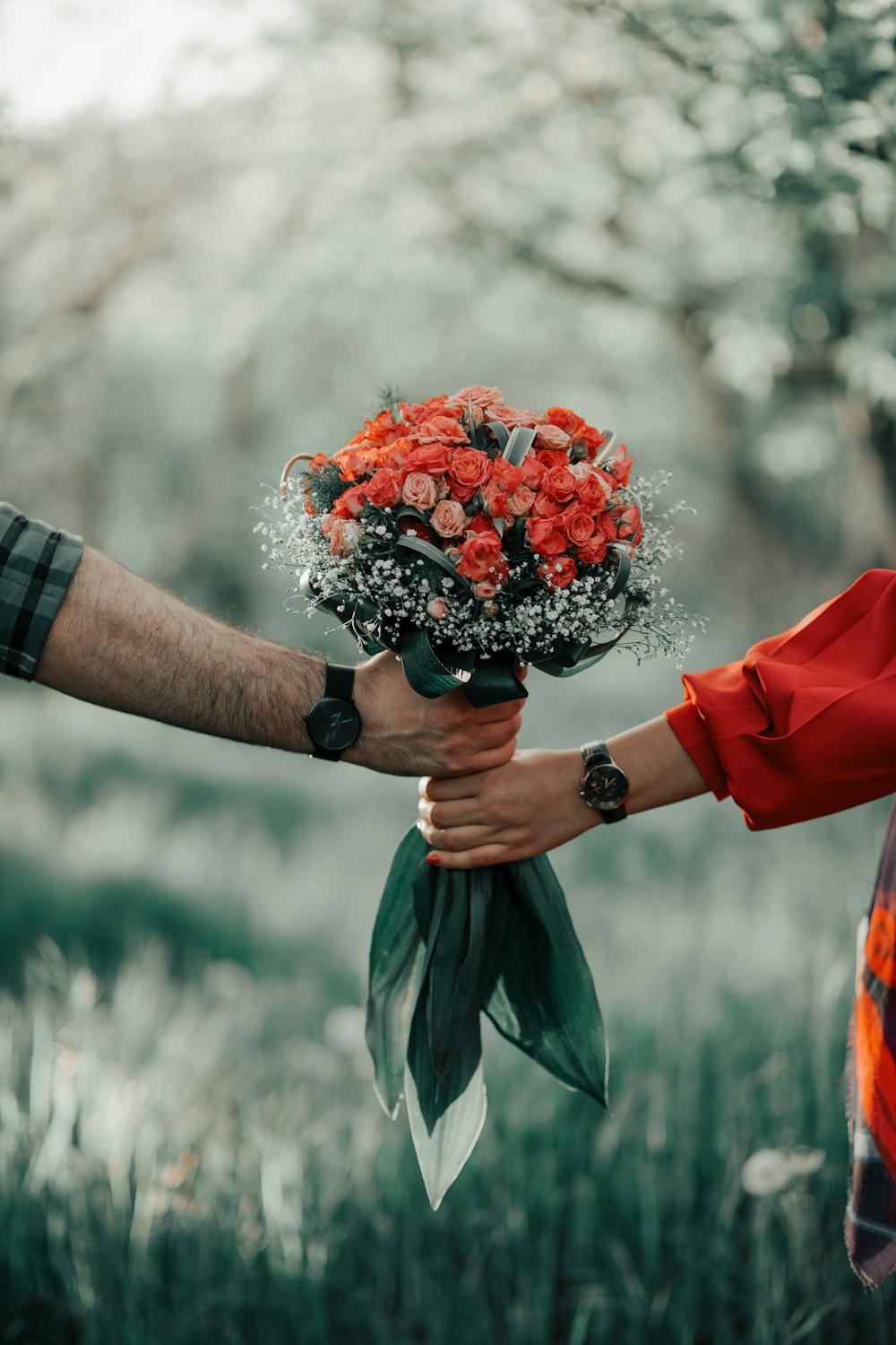 person holding bouquet of red roses