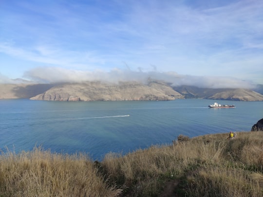 green mountain beside blue sea under blue sky during daytime in Godley Head New Zealand