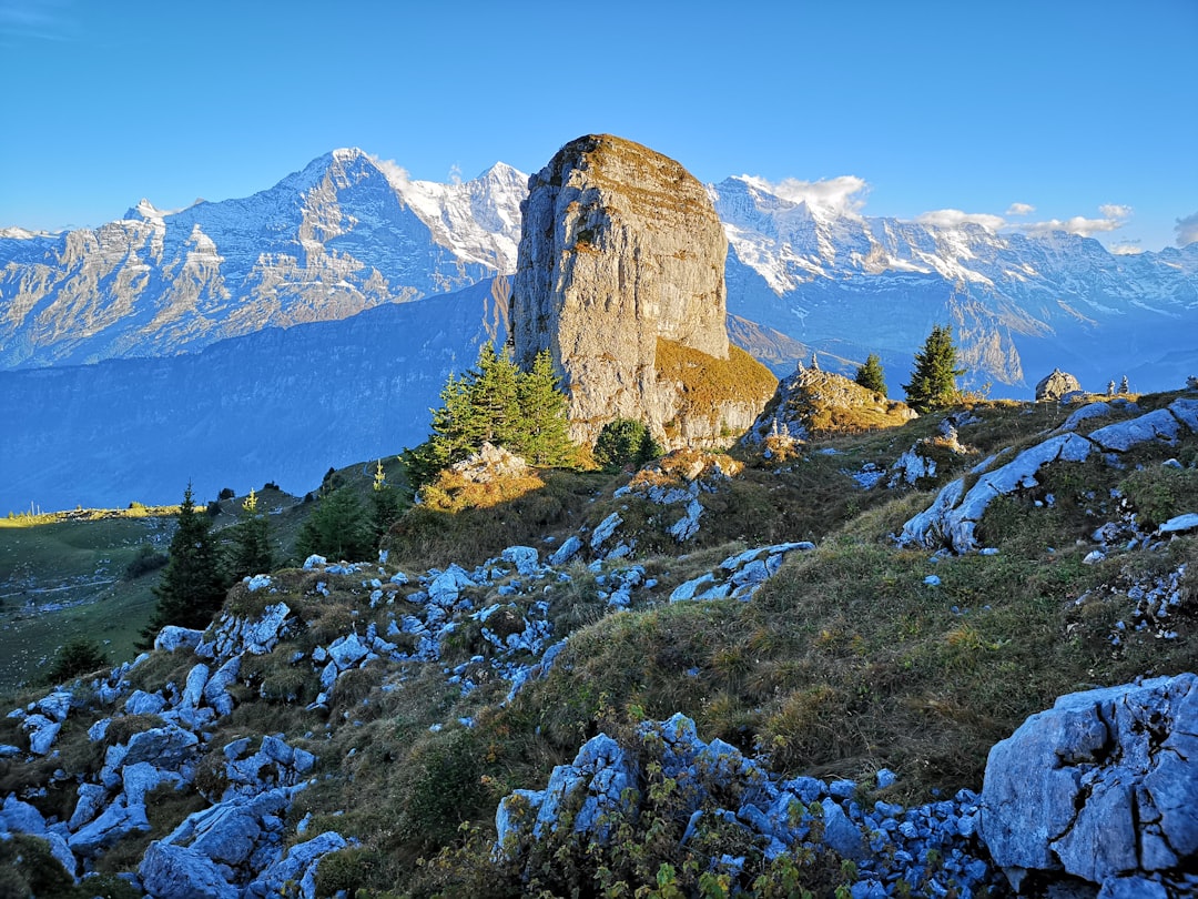 Nature reserve photo spot Interlaken District Niederhorn