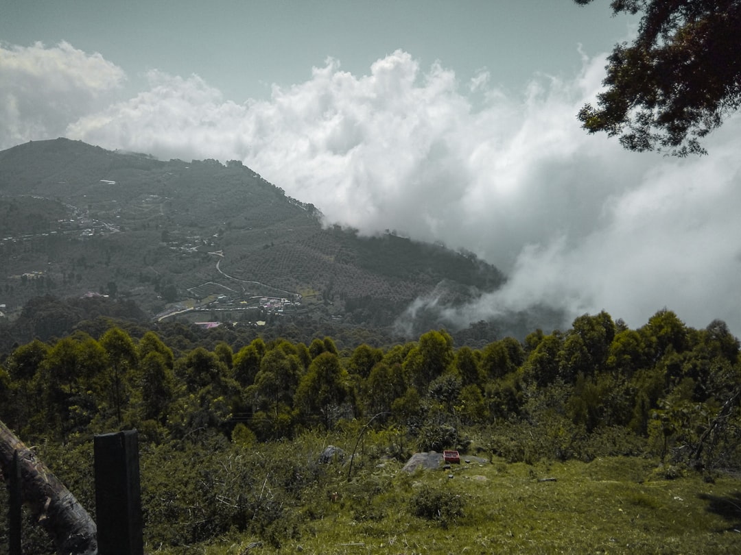 Hill station photo spot Kodaikanal Periyar Tiger Reserve