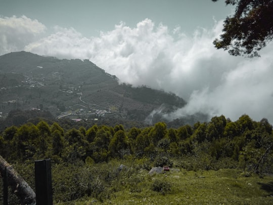 green trees and mountains under white clouds and blue sky during daytime in Kodaikanal India